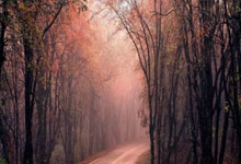 《魔道祖师》完结篇定档七夕！道友泪目：“这次真的要说再见了”