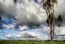 《魔道祖师》完结篇定档七夕！道友泪目：“这次真的要说再见了”