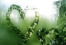 《魔道祖师》完结篇定档七夕！道友泪目：“这次真的要说再见了”